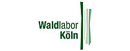 Der Wald im Wandel