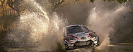 TOYOTA GAZOO Racing zurück in Argentinien